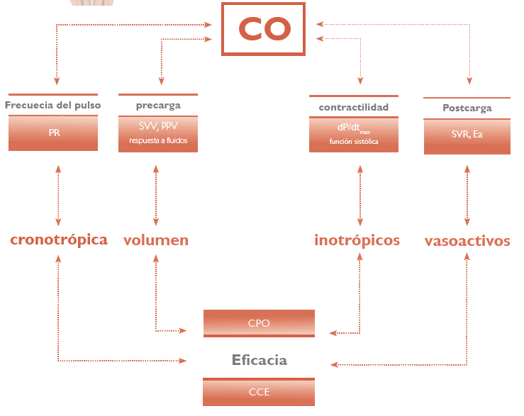 Mostcare grafico Mostcare grafico