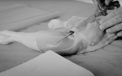 Simulador de venas: tutorial para su preparación