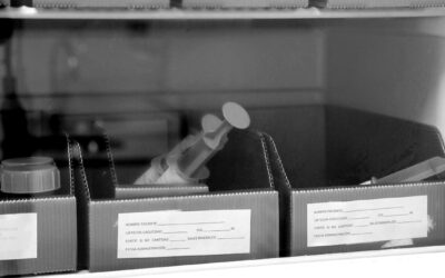 Día Mundial de la Donación de Leche Materna: Importancia de los Bancos de Leche