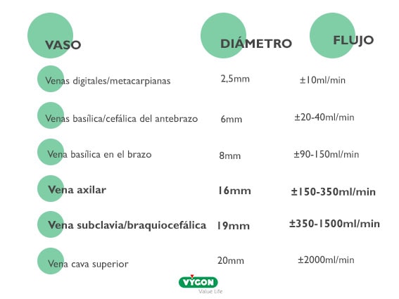 Clasificacion vena/flujo