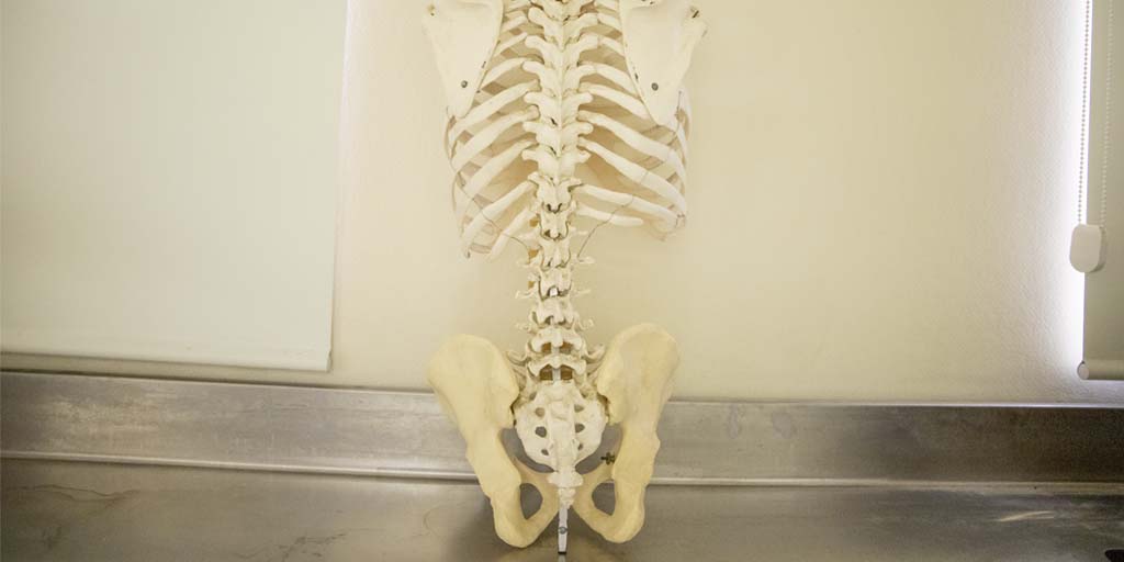 El futuro de la anestesia locorregional. Técnicas guiadas: ecografia vs neuroestimulación