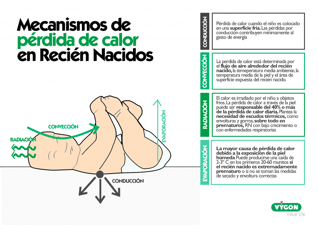 Mecanismos de pérdida de calor RN