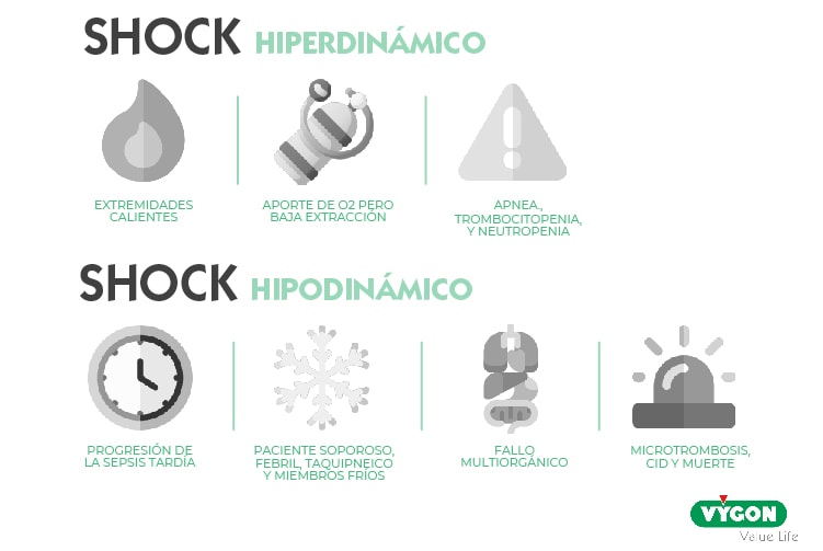shock hiperdinámico e hipodinámico