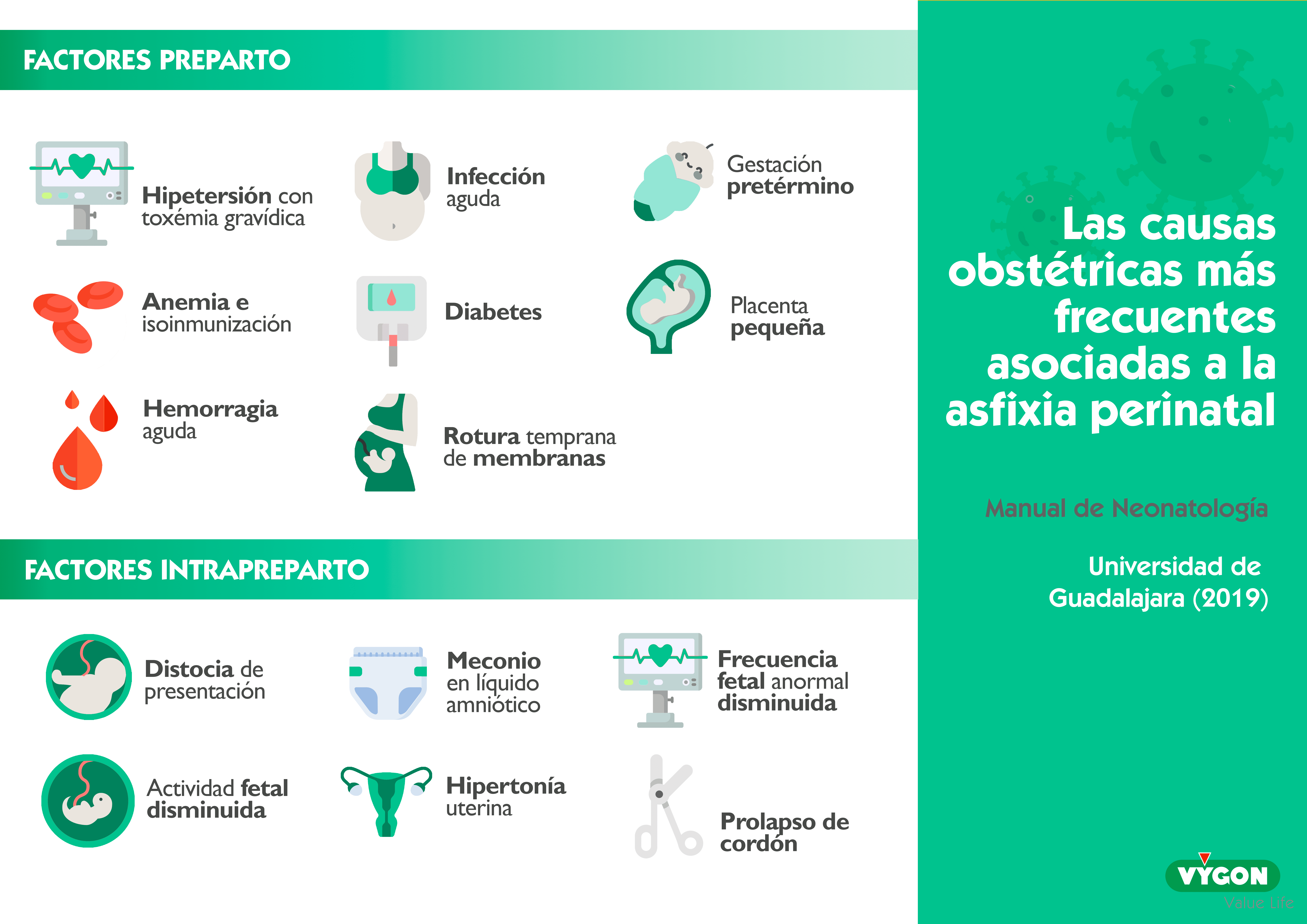 Causas Asfixia Perinatal