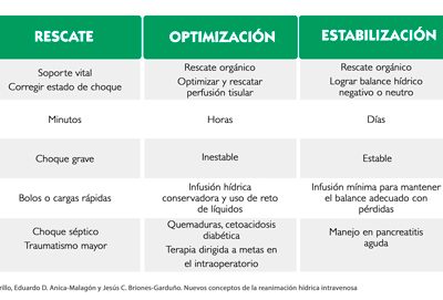 Fases de la fluidoterapia