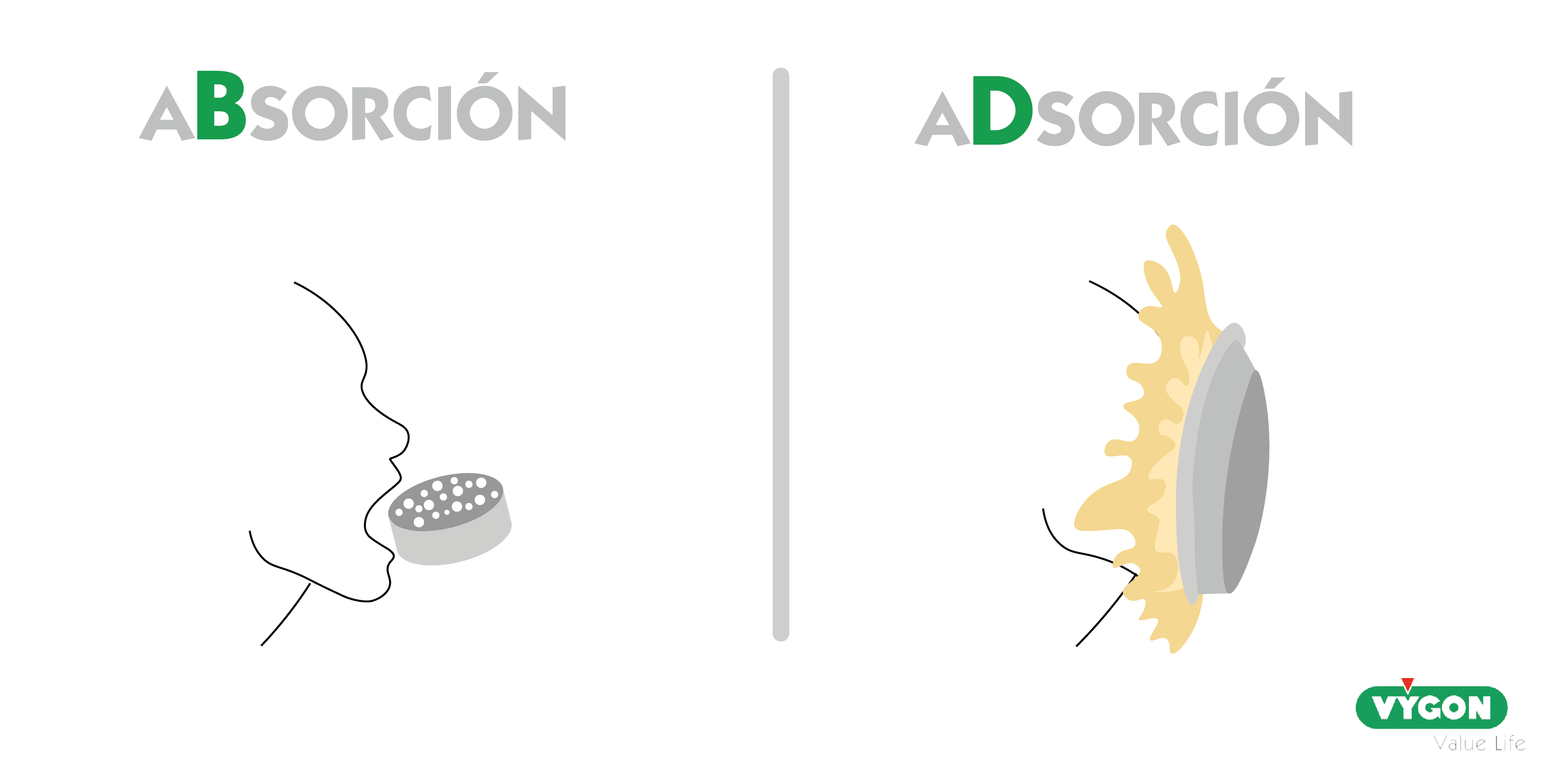 adsorción y absorción 