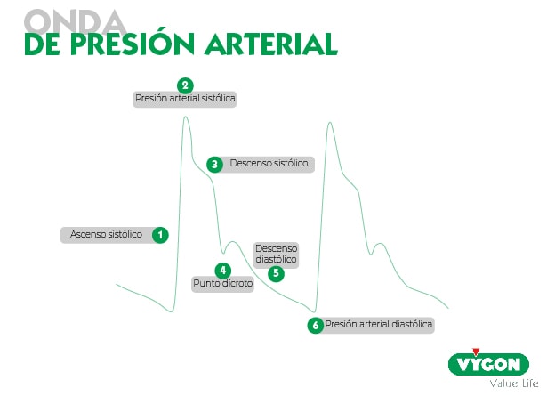 onda presión arterial