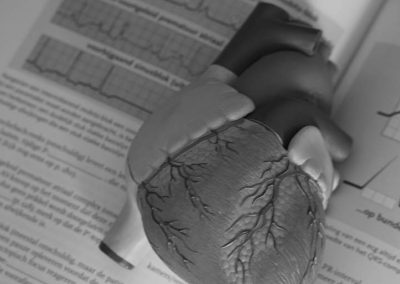 Whitepaper: ¿Quién es el responsable del flujo sanguíneo durante la RCP?