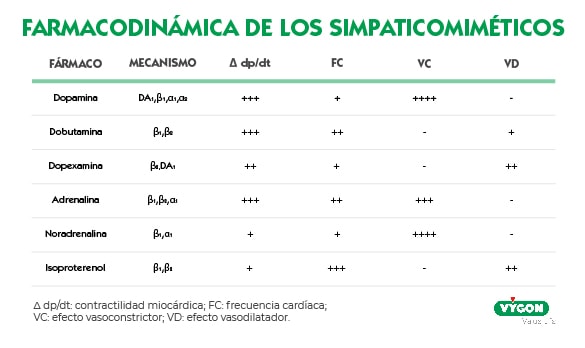 farmacodinámica de los simpaticomiméticos