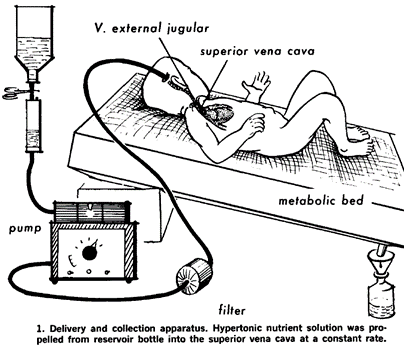 Historia de la NPT y Epicutáneo CAVA