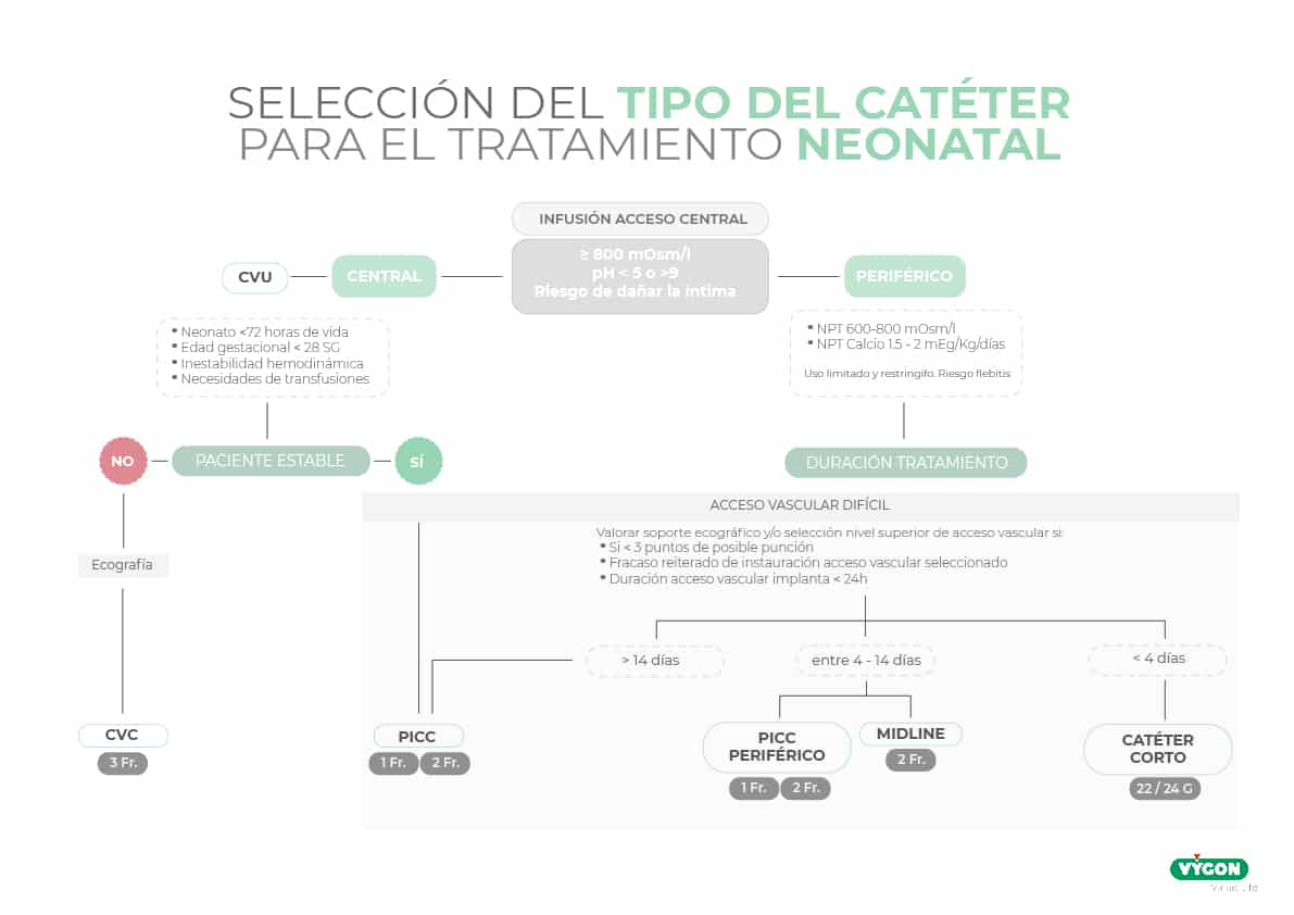 Elección del catéter en neonatos_Mesa de trabajo 1