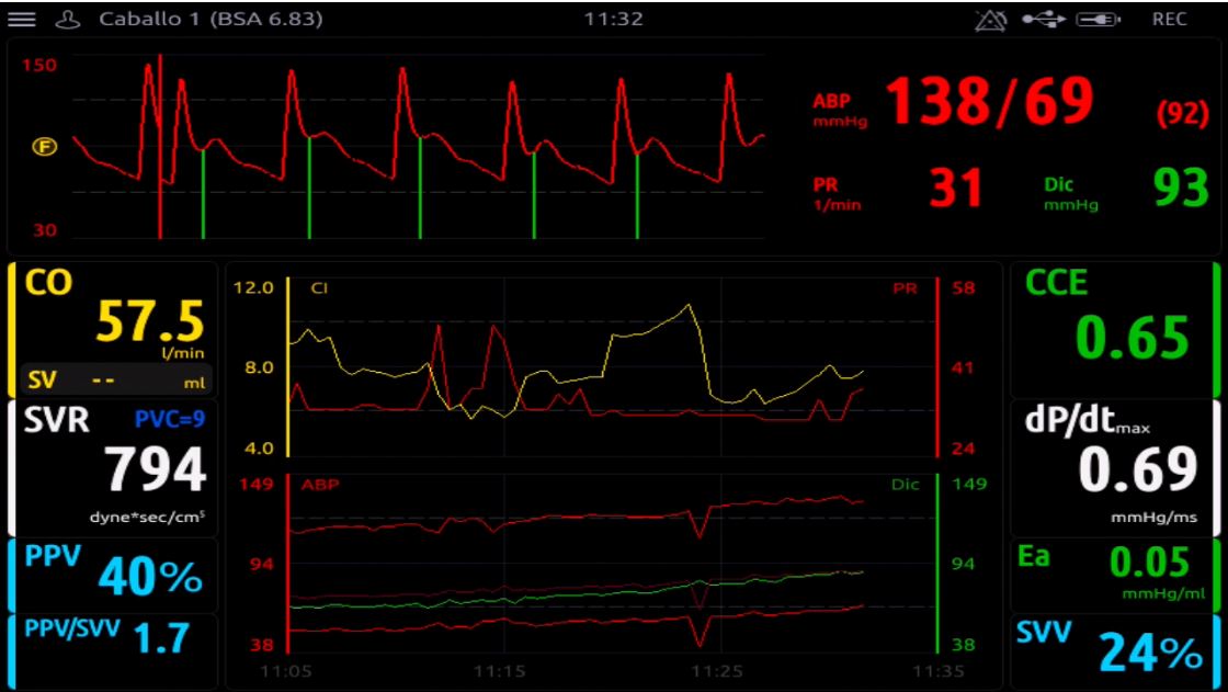 monitorización caballo