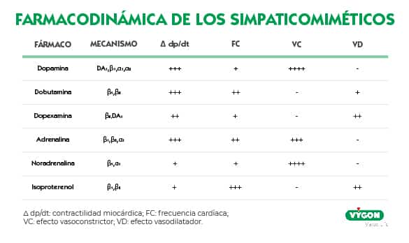 Farmacodinámica de los simpaticomiméticos