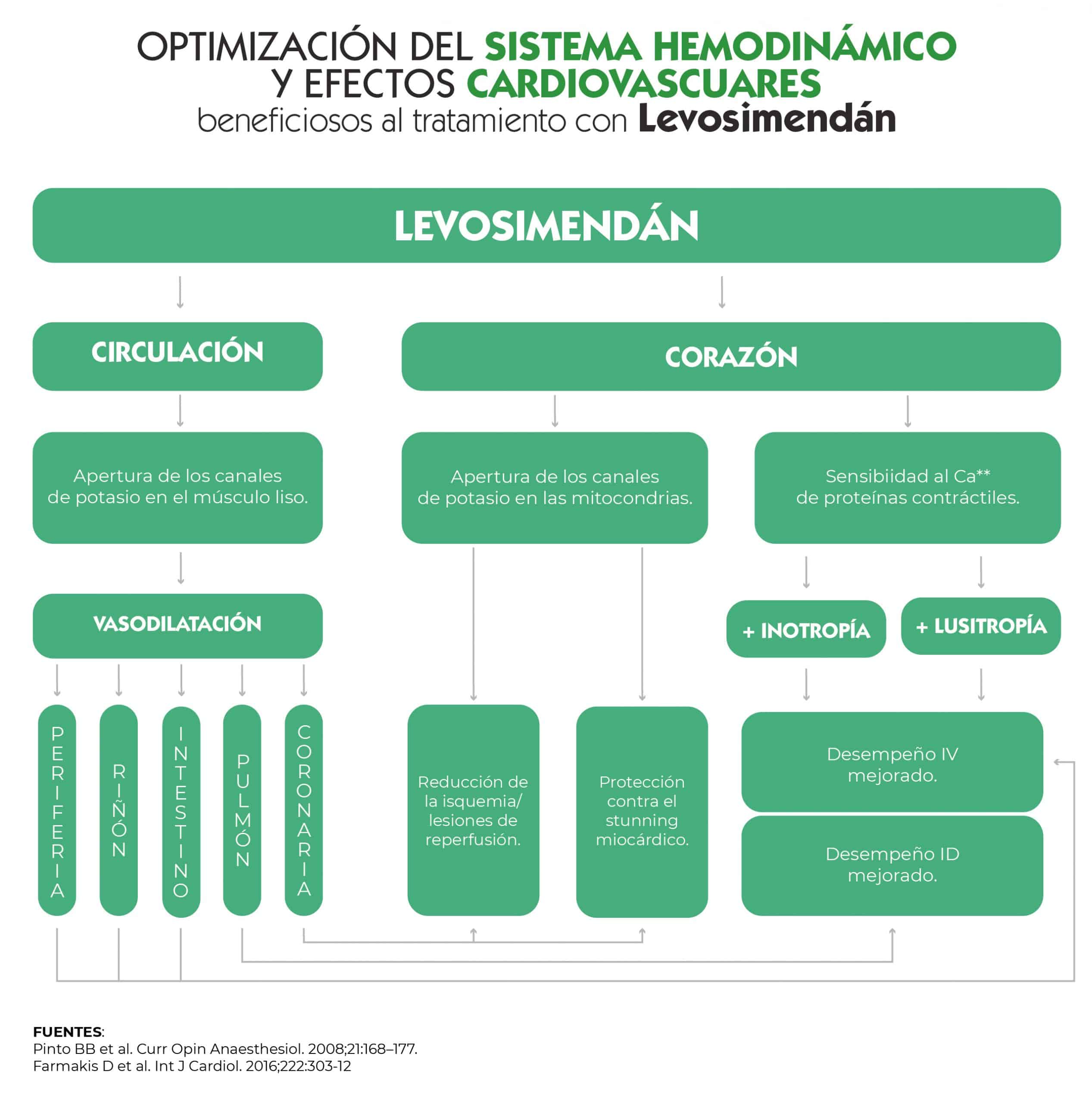 Figura 4: Optimización del sistema hemodinámico y efectos cardiovasculares beneficiosos asociados al tratamiento con Levosimendán [21,22].