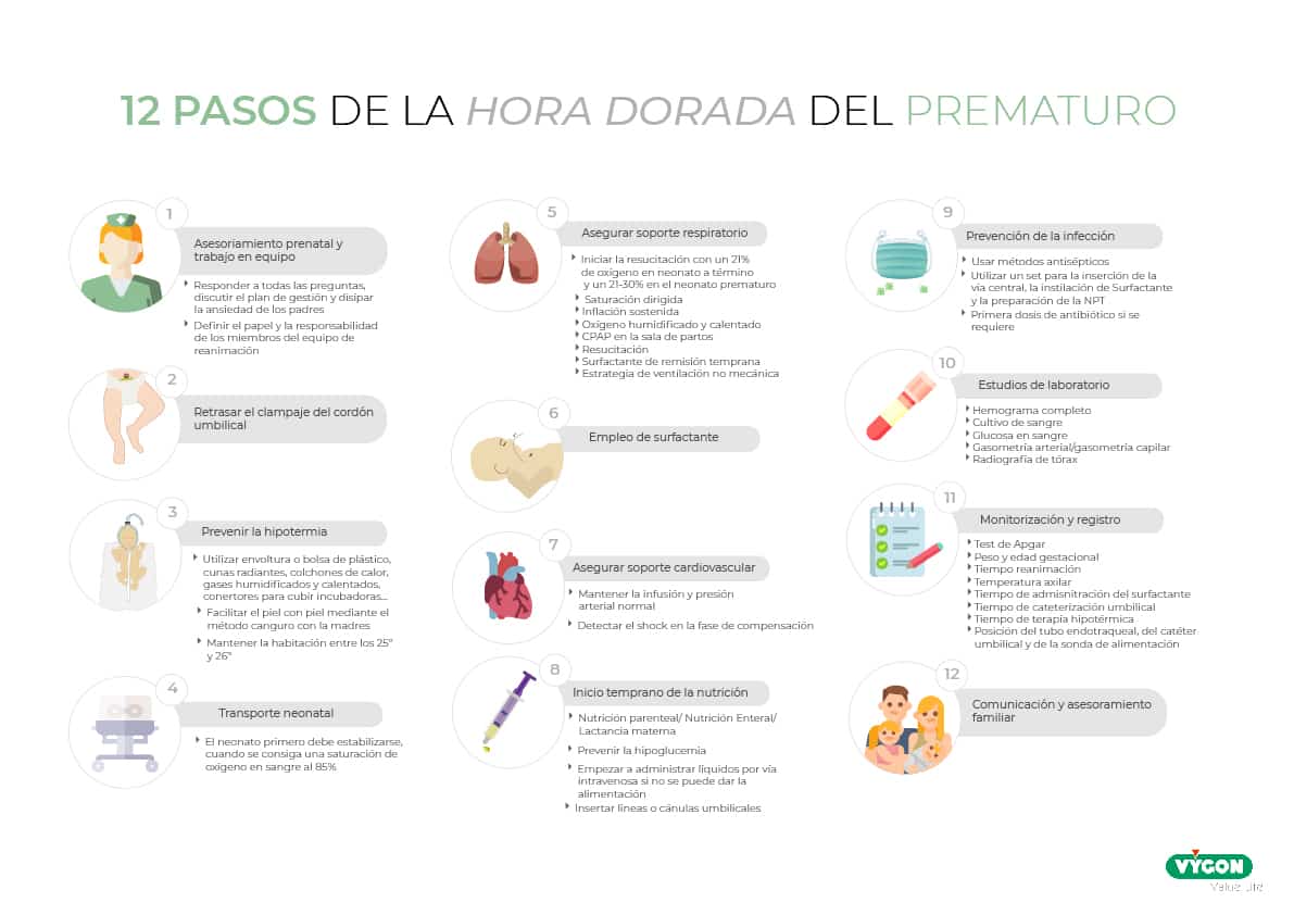 12 PASOS HORA DORADA