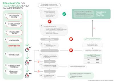 Reanimación del recién nacido en la sala de partos