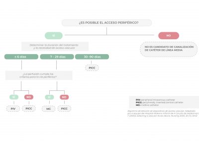 Diagrama de elección Líneas Medias en neonatos