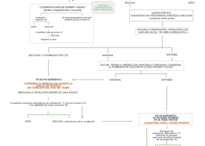 Algoritmo de vía aérea difícil: pacientes pediátricos asa 2022