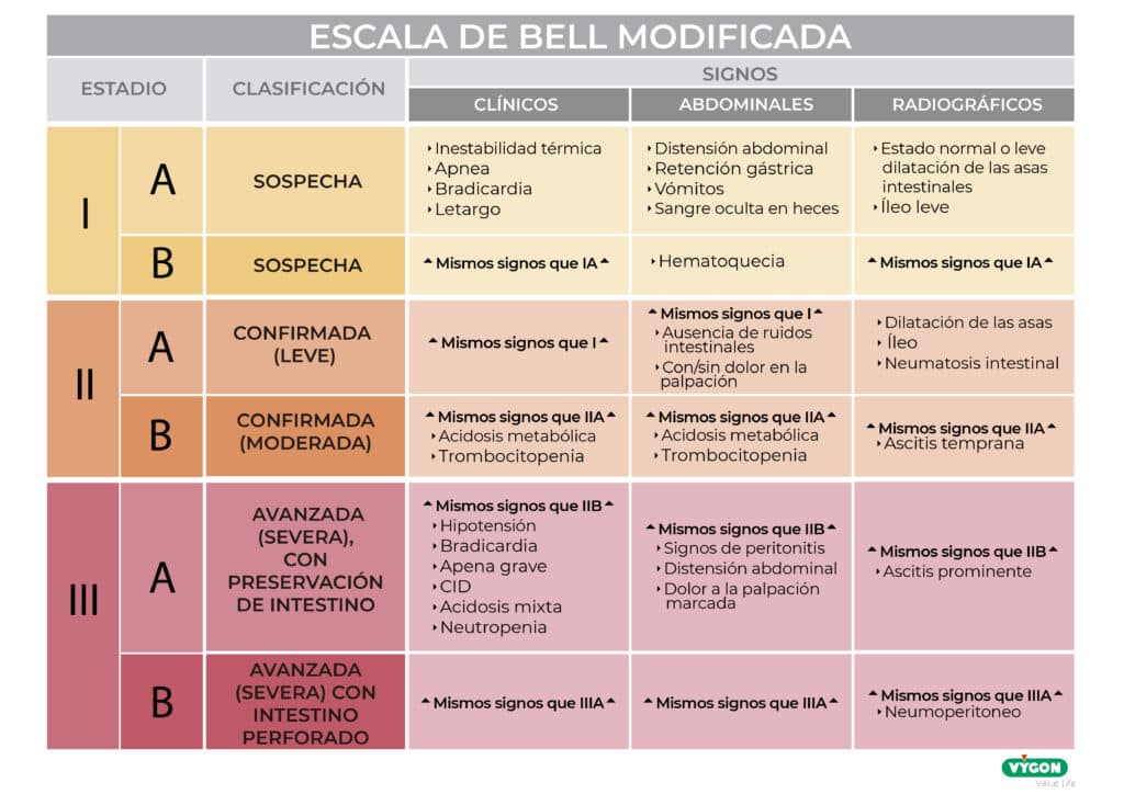 Escala de BELL MODIFICADA