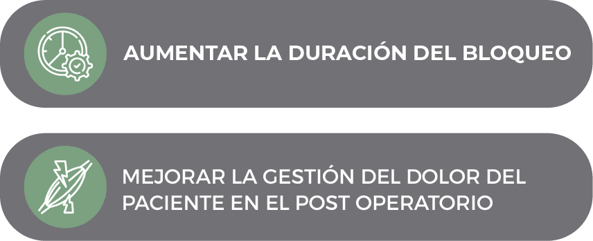 objetivos del bloqueo nervioso periférico continuo (BPC)