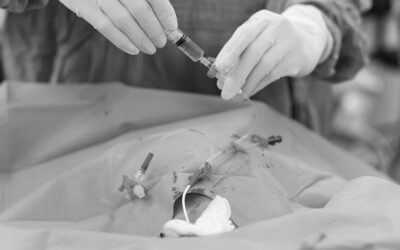 13 claves para evitar la infección por bacilos gramnegativos