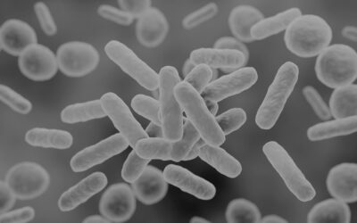 Cómo aplicar el protocolo de bacteriemia zero explicado por profesionales