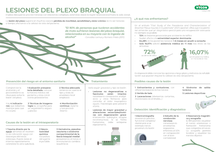 Infografía lesiones del plexo braquial